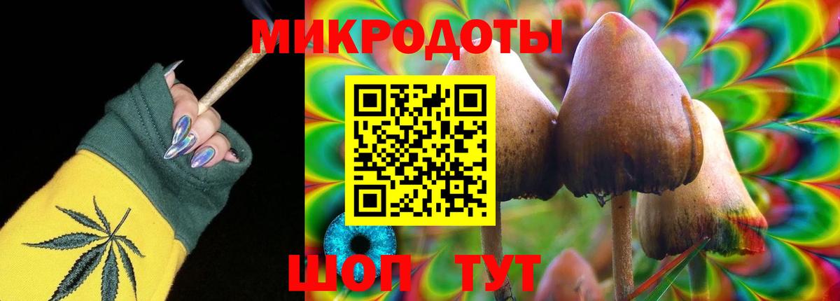 Березники  Псилоцибиновые грибы Psilocybe  Вход с VPN  Псилоцибиновые грибы Psilocybine cubensis 